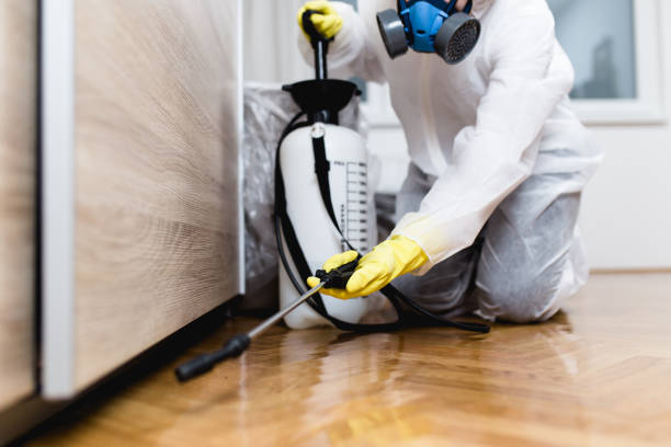 Best Pest Removal Services  in Shady Spring, WV