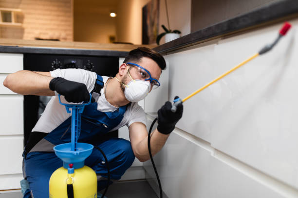 Best Exterminator Services  in Shady Spring, WV