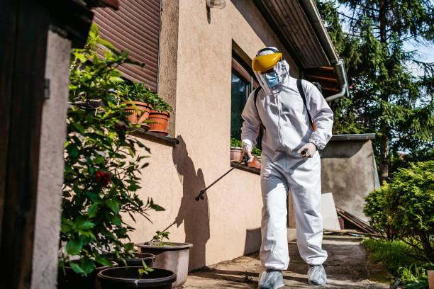 Best Pest Prevention Services  in Shady Spring, WV