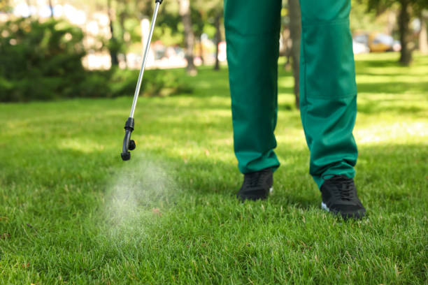 Best Wasp Removal Services  in Shady Spring, WV