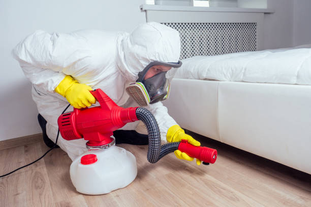Best Mosquito Control Services  in Shady Spring, WV