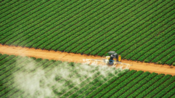 Best Pest Control Cost  in Shady Spring, WV