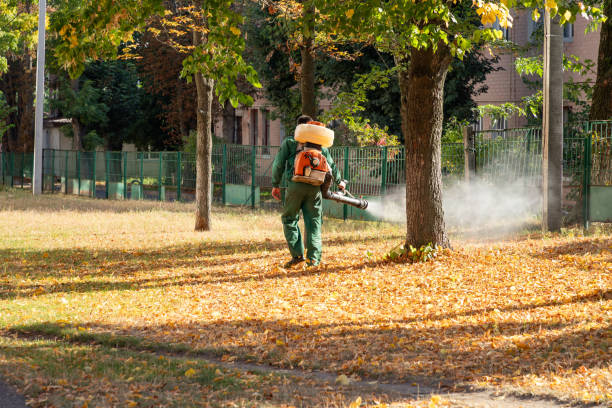 Wasp Removal Services in Shady Spring, WV