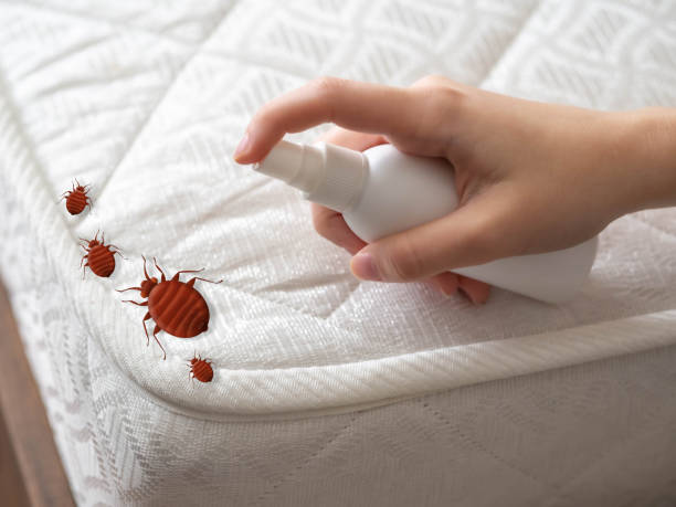 Pest Control Cost in Shady Spring, WV