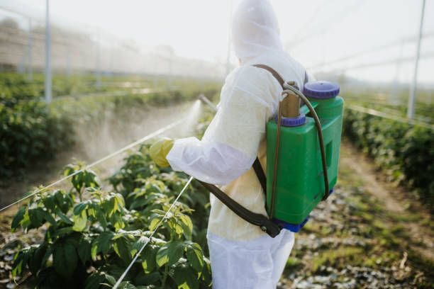 Best Commercial Pest Control Services  in Shady Spring, WV